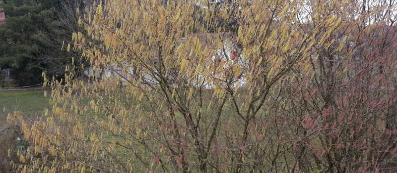 Wieder einmal eine Runde am Klignauer Stausee
