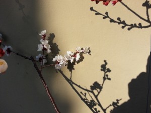 Frühlingsrunde mit den Stäbchen