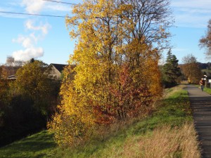 Herbstliche Runde am Stausee