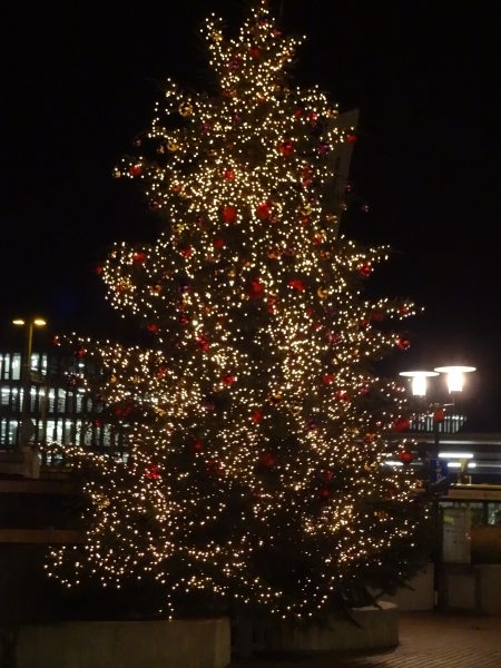 Der erste Weihnachtsbaum