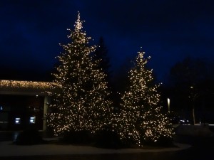 Der letzte Arbeitsweg für dieses Jahr