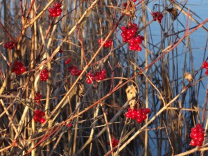 Nochmals eine schöne Runde
