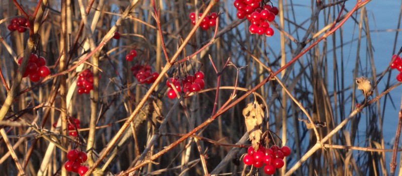 Nochmals eine schöne Runde