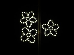 Es wird Zeit für das Rollentraining